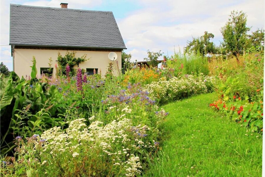 Offene Gärten laden im Vogtland zum Besuch ein - Einen naturnahen Garten können sich die Besucher in Lengenfeld anschauen.