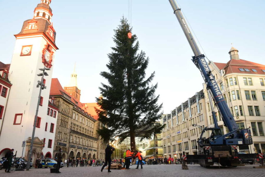 Ohne Glühwein und Markttreiben - Doch Chemnitz hat seinen Weihnachtsbaum - Die 20 Meter hohe Fichte hat ihren Platz vor dem Rathaus gefunden. Nur geschmückt werden muss sie noch.