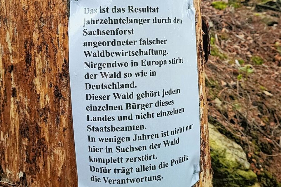 Ominöse Zettel im Erzgebirgswald: Börnichener Revierleiter frustriert - Bis zu 20 dieser Anschläge hat Thomas Köhler im Forstrevier Börnichen in den zurückliegenden zwei Jahren gefunden. 