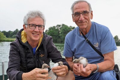 Ornithologen machen sensationelle Entdeckung auf dem Glauchauer Stausee - Jens Hering (links) und Dieter Kronbach präsentieren den Nachwuchs der Flussseeschwalben, die sich auf der Brutinsel im Glauchauer Stausee angesiedelt haben.