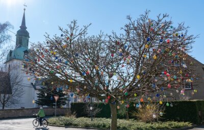 Osterschmuck setzt Bäume in Wiederau farbenfroh in Szene - 
