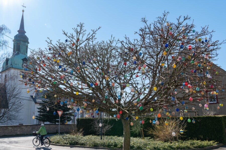 Osterschmuck setzt Bäume in Wiederau farbenfroh in Szene 