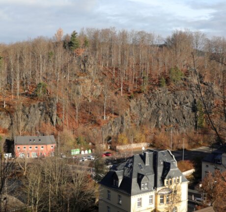 Ab Mitte des 19. Jahrhunderts wurden auf dem Ottenstein in Schwarzenberg gezielt vor allem Rotbuchen für einen Park angepflanzt. Viele der Bäume sind nicht mehr stand- oder bruchsicher.