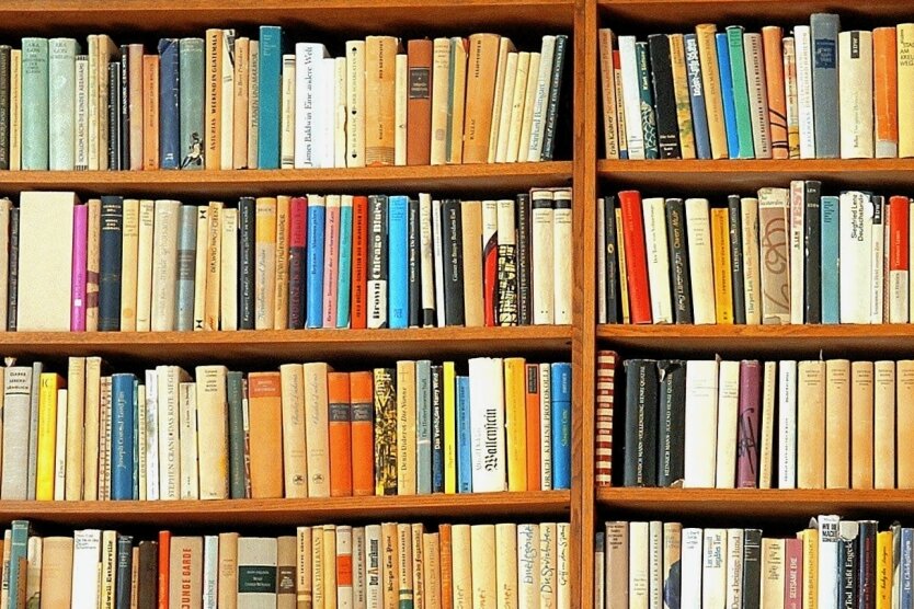 Paar verliert Haus und Hof durch teure Bücher - Bücher wie diese haben viele Ältere im Bücherschrank stehen, darunter auch Lexika. Meist sind sie Schmuck, aber keine Wertanlage. 
