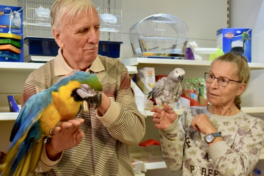 Papageien sagen bald nicht mehr "Hallo": Limbacher Zoohandlung schließt nach 45 Jahren - Klaus Lawnik mit Ara Lolita und Ehefrau Martina Lawnik mit Graupapagei Rudi. 