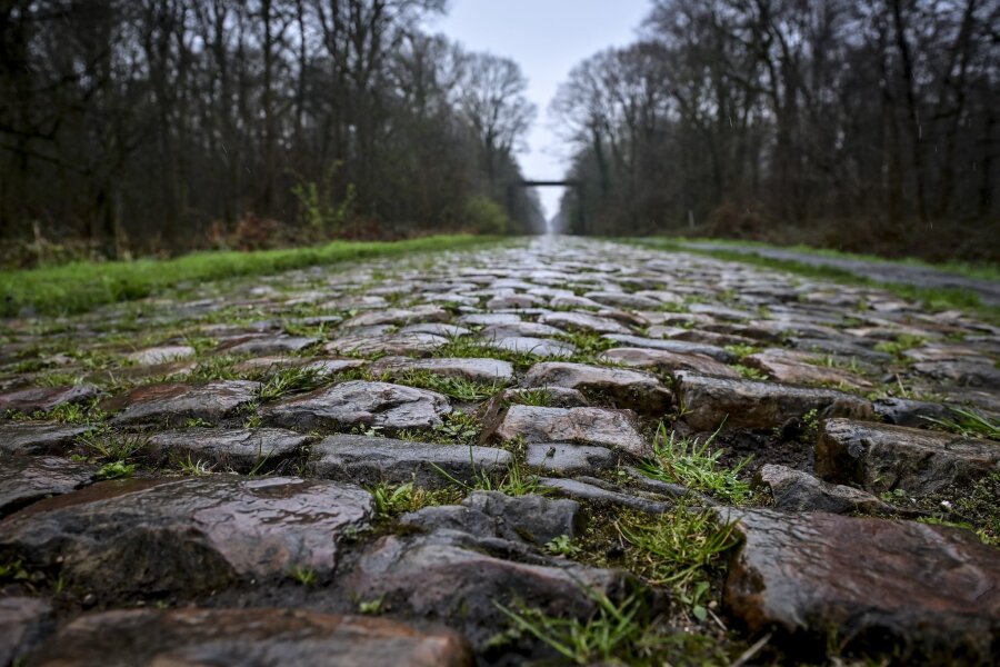 Paris-Roubaix: Radprofis streiten über Schikane - Der Rad-Klassiker Paris-Roubaix findet am Sonntag statt. Vor dem Arenberg-Wald soll nun eine Schikane das Fahrerfeld abbremsen.