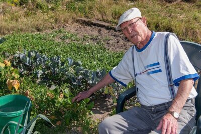 Penig: Rehe fressen Rentner fast den Garten leer - Gurken, Salat, Bohnen: Die Tiere haben Fraßschäden hinterlassen. Rentner Wolfgang Schäfer weiß noch nicht, wie viel Mühe er künftig für seinen Garten aufwendet. 