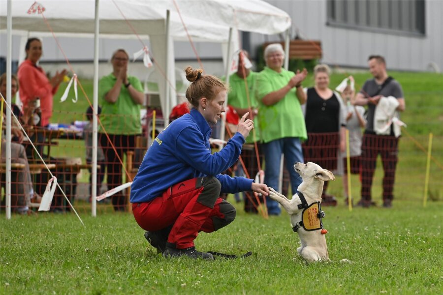 Peniger Hundesportclub feiert 25-jähiges Bestehen - Knödel, der kleinste Hund vom ASB Rettungshundezug, bekommt nach erfolgreicher Personensuche eine Belohnung von Hundeführerin Luise.