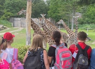 Pestalozzi-Schüler im Leipziger Zoo - Unter anderem konnten die Schüler Giraffen beobachten und das Aquarium erkunden. 