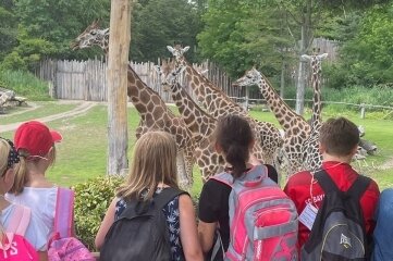 Pestalozzi-Schüler im Leipziger Zoo - Unter anderem konnten die Schüler Giraffen beobachten und das Aquarium erkunden. 