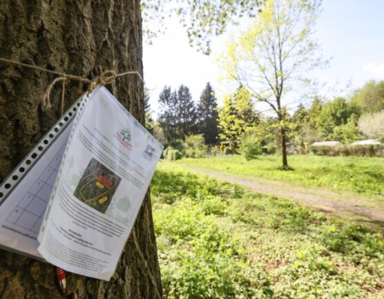 Petition: Pächter wollen ihre Gärten im Stadtpark erhalten - Für die Unterschriftenaktion zum Erhalt der Erholungsgärten in Helbersdorf wird derzeit nicht nur in Internetforen, sondern auch direkt in der Anlage im Stadtpark geworben. 