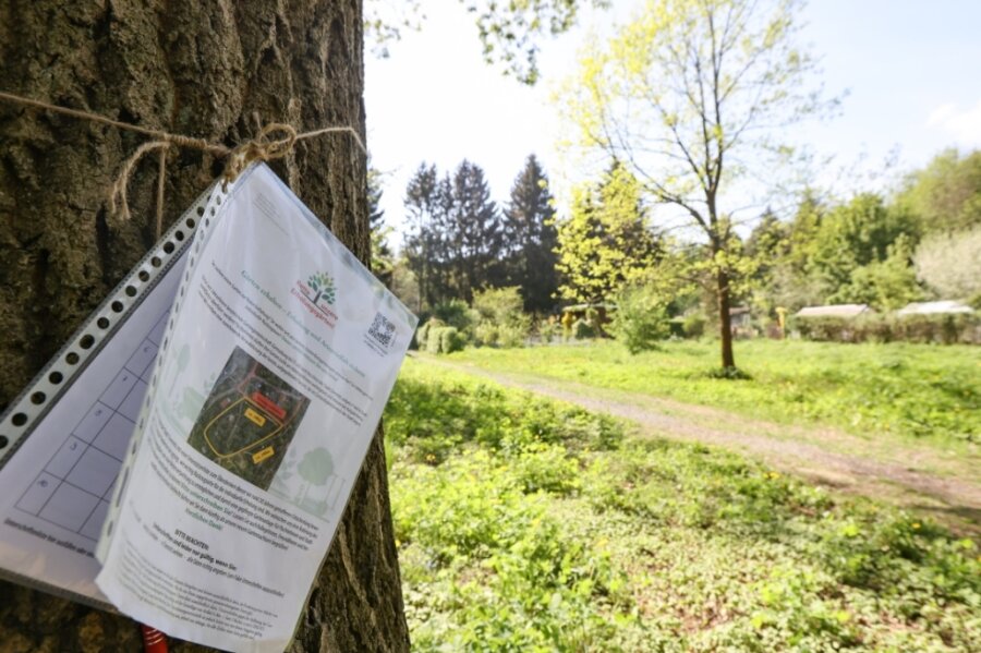 Petition: Pächter wollen ihre Gärten im Stadtpark erhalten - Für die Unterschriftenaktion zum Erhalt der Erholungsgärten in Helbersdorf wird derzeit nicht nur in Internetforen, sondern auch direkt in der Anlage im Stadtpark geworben. 