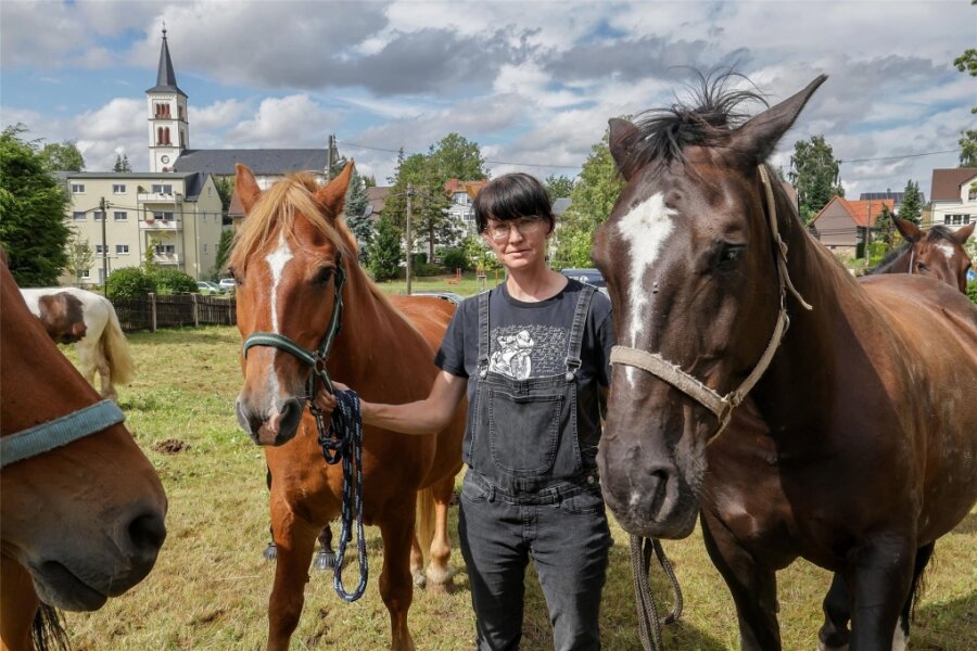 Pferde in Callenberg entführt: „Das Tier hätte jämmerlich verrecken können“ - Anne-Katrin Löchel mit den geklauten Pferden: Der 17 Jahre alte Haflinger-Mix Toni (links) und die 15-jährige Slaskastute Bärbel.