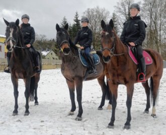 Pferdefreunde halten zusammen - Erfolgreiche Dorfstädter: Luise Volkmer (von links) auf Hollandmädel, Sophie Morgner auf Shirokko und Ricardo Belke auf Nice Nicky gehören dem Landeskader an.