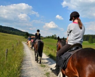 Pferdemist: Reiterhof kümmert sich seit Jahren in Hohndorf - 
