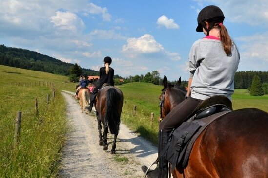 Pferdemist: Reiterhof kümmert sich seit Jahren in Hohndorf - 