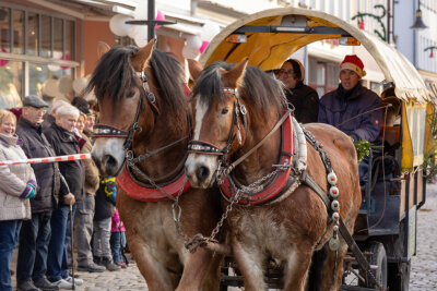 Bei dem Märchenumzug in Auerbach waren 35 Reiter unterwegs. Welche Pferde genau an den Unfällen beteiligt waren, ist bislang unbekannt.