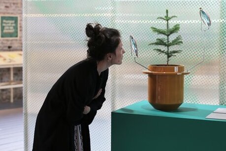 Pflanzenfieber in Pillnitz - Die neue Ausstellung "Pflanzenfieber" ist erstmalig in Deutschland zu sehen.