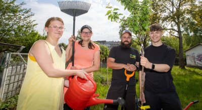 Pflaumenbäume für neue Streuobstwiese in Haselbrunn - 