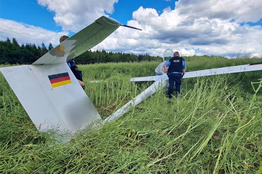 Phänomen Thermik-Abriss: Fünf Segelflugzeuge müssen im Erzgebirge notlanden - Eines der fünf Segelflugzeuge ging auf diesem Rapsfeld bei Waldkirchen nieder.