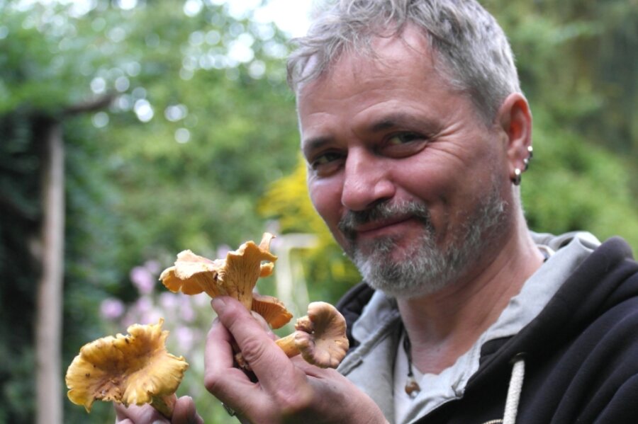 Pilzberater Michael Möbius zeigt Pfifferlinge, die zu den beliebtesten Pilzen zählen. Die Art ist angenehm festfleischig mit leicht pfeffrigem Geschmack, selten madig und sollte gut zerkleinert werden. 