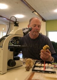 Pilzexperten bilanzieren ein mäßiges Jahr - Bis zu den Zellstrukturen muss man manchmal beim Bestimmen der Pilzarten gehen. Die sieht Andreas Simon aus Zwönitz unterm Mikroskop.