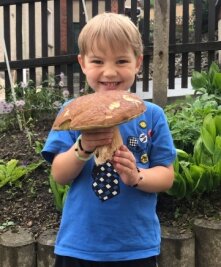 Pilzsammler freuen sich über gute Ausbeute - Familie Reichelt aus Sehma ist am Wochenende fündig geworden. Der vierjährige Peter zeigt einen Butterpilz. 