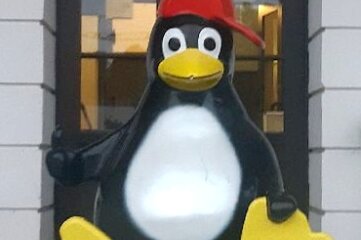 Pinguin von Linux-Fans entführt? - Die Pinguin-Figur hatten Unbekannte Ende vergangener Woche vor den Eingang der Hochschule in Mittweida platziert.