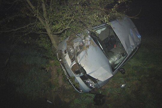 einem Baum kam das Auto der 18-Jährigen zum Stehen.
