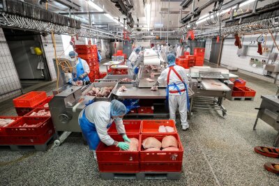 Pläne für Schlachthof in Hartmannsdorf liegen offenbar auf Eis - Im Schlachthof Belgern in Nordsachsen verpacken Mitarbeiter zerlegte Schweinekeulen.