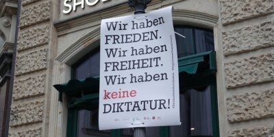 Plakate werden zum Thema im Stadtrat - Mehrere dieser Plakate sind seit einigen Wochen in der Zwickauer Innenstadt zu sehen.