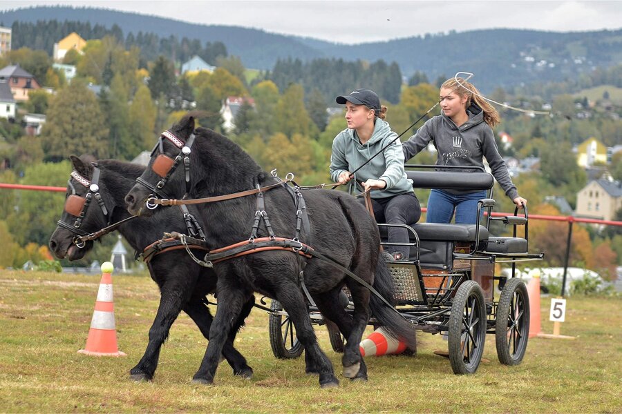 Platz für überregionale Turniere: Pferdesportler im oberen Vogtland hegen große Pläne - Zu den Teilnehmern des Hindernisfahrens gehörte auch Leonie Leonhardt aus Erlbach mit Beifahrerin Hanna Willer.