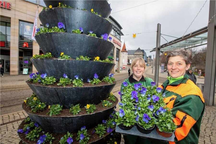 Plauen blüht auf: Gärtner legen los -  Stadtgärtner wie Claudia Heidner und Bernadette Fischer haben die Blumenpyramiden auf dem Postplatz bepflanzt.