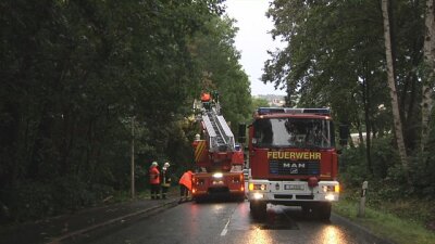Am Hammerwald in Zwickau drohte ein Baum auf die Straße zu stürzen. Mit einer Drehleiter wurde er abgetragen. 