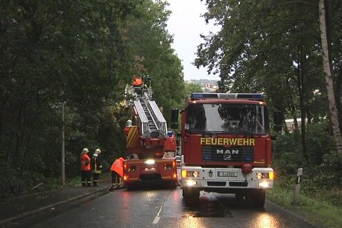 Am Hammerwald in Zwickau drohte ein Baum auf die Straße zu stürzen. Mit einer Drehleiter wurde er abgetragen. 
