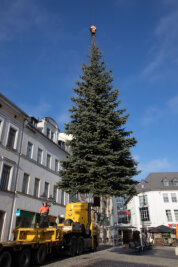 Plauener Budenzauber: In diesem Jahr 400 Besucher auf dem Altmarkt erlaubt - Der Baum für den Klostermarkt wurde am Freitag aufgestellt - eine Familie aus Kauschwitz hat die Fichte gespendet.