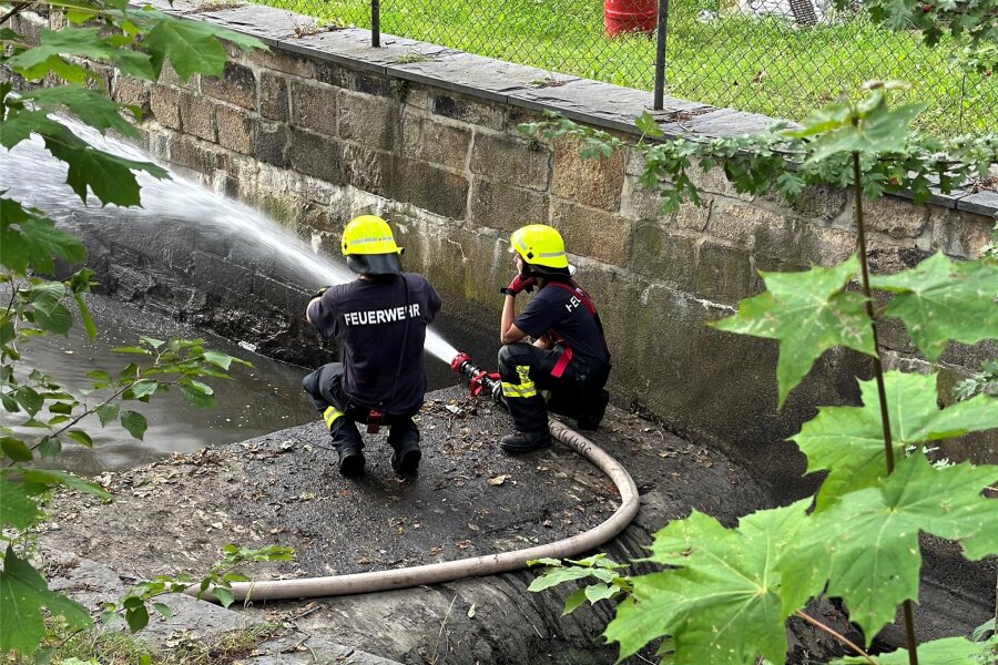 Plauener Feuerwehr rettet Fische vor dem Ersticken - Die Feuerwehr spritzte Wasser in den Mühlgraben, damit die Fische dort mehr Sauerstoff erhalten.