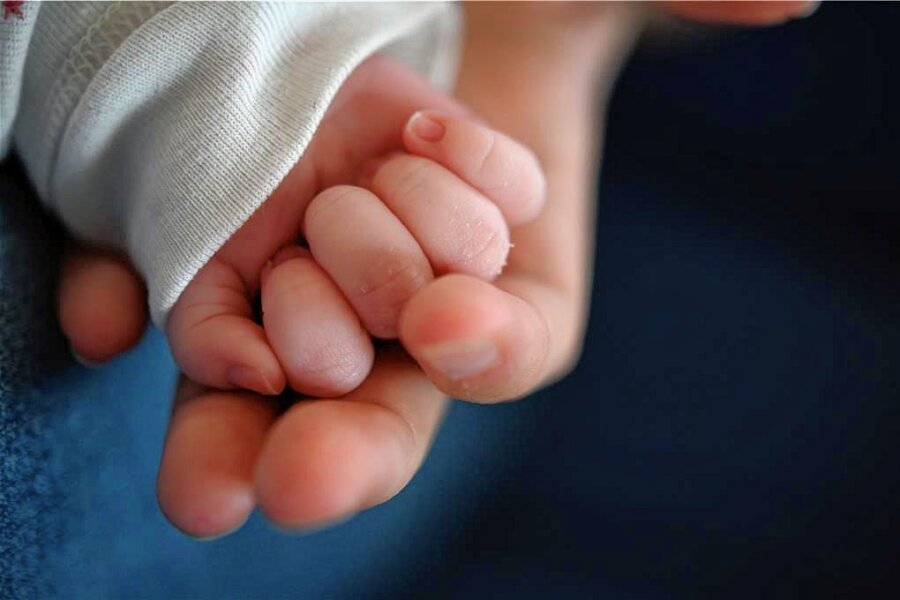 Plauener Nachwuchs erhält ab Januar Baby-Gutschein - Babys wollen behütet und abgesichert sein. 