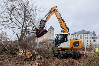 Plauener Umweltfreunden blutet das Herz: Bäume am Komturhof verschwinden -  Die Baufirma Schmidt aus Jößnitz ist derzeit im Auftrag der Stadt Plauen am Komturhof tätig und beseitigt dort die Grünanlage.