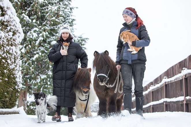 Plauener wollen eine Tafel für Tiere in Not gründen - Petra Scholz engagiert sich selbst für das Wohl vieler Tiere. Mit Tochter Alexa sorgt sie für die Hunde Marcie und Lexa, die Ponys Bella und Pino sowie Häschen Funny.