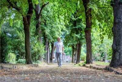 Plauens Baumpark braucht in Zukunft einen Beschützer - Ulrich Franke vom Verein der Freunde Plauens gehört zu den Helfern, die die Umgestaltung des ehemaligen Friedhofs II zum Baumpark nach einem von Bernhard Weisbach entworfenen Masterplan unterstützen. 