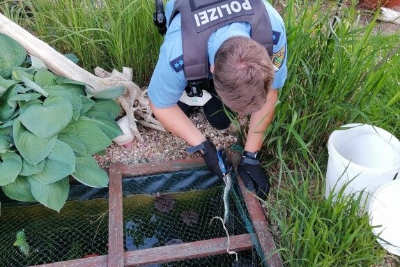 Polizei befreit Schlange aus Gartenteich