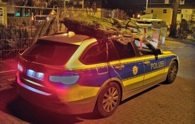 Polizei bringt gestohlene Weihnachtsbäume mit Streifenwagen zurück - ungewohntes Bild: Polizisten in Mülheim bringen dem Besitzer zwei gestohlene Weihnachtsbäume zurück.