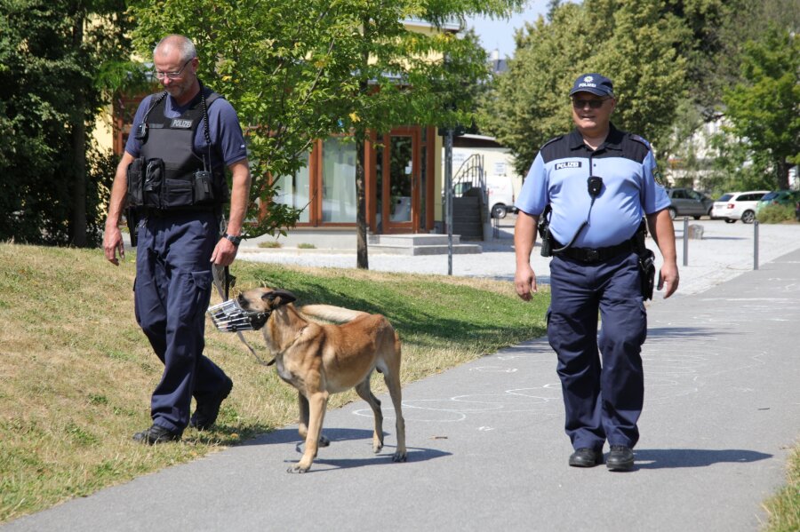 Polizei ermittelt Graffiti-Sprayer - Kontrollen verstärkt - Zu Schwerpunktzeiten wird im Sommer in der Auerbacher Innenstadt verstärkt kontrolliert, unter anderem mit einem Polizeihund.