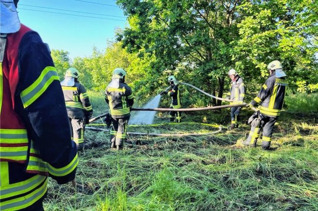 Polizei ermittelt zu Flächenbrand an B 180 bei Frankenberg - Einen Flächenbrand löschten die Feuerwehren aus Frankenberg und Langenstriegis gemeinsam. 