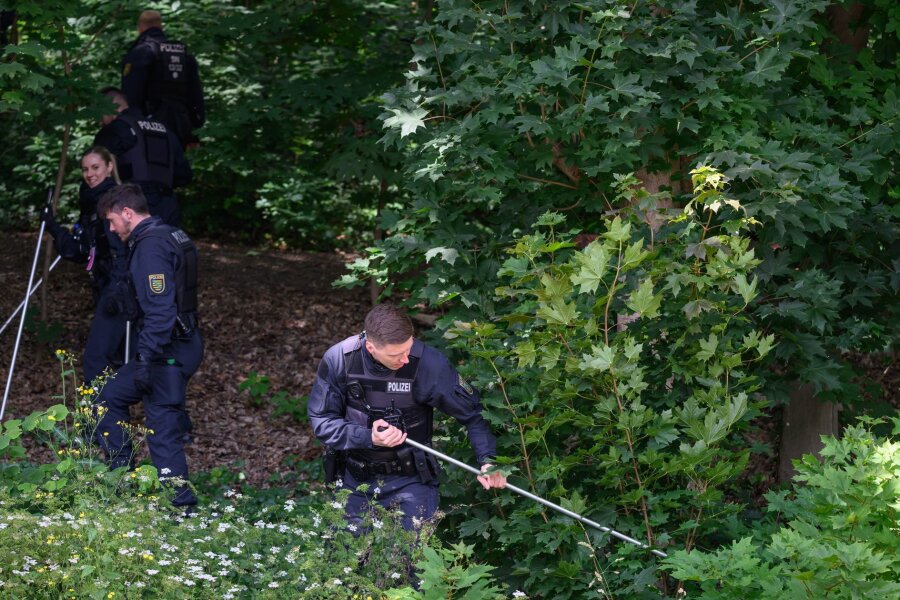 Polizei findet Leiche bei Suche nach Neunjähriger in Sachsen - Polizisten suchen mit Suchstangen in einem Waldstück bei Döbeln nach der vermissten Grundschülerin.
