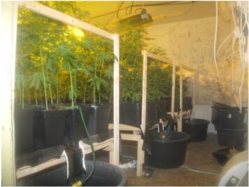 Polizei hebt Drogenplantage in Marbach aus - Bei der Durchsuchung eines leerstehenden Hauses an der Grünhainichener Straße beschlagnahmten die Beamten mehr als 100 Cannabispflanzen.