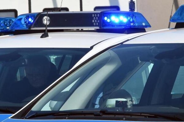 Polizei nimmt mutmaßliche Einbrecher fest - 