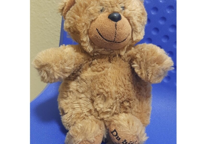 Polizei Zwickau sucht nach Teddy-Besitzer - 