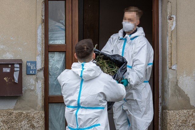 Polizeieinsatz im Vogtland: Cannabis-Plantage in Kottengrün ausgehoben - 
